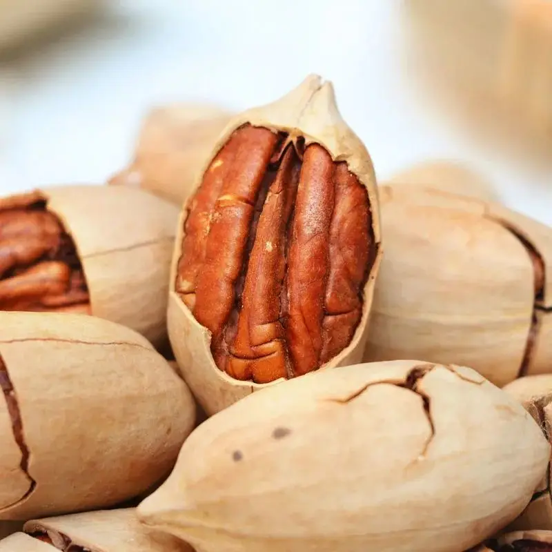 Оптовая продажа, высококачественные орехи пекан, Лучшая цена, здоровые органические жареные орехи пекан