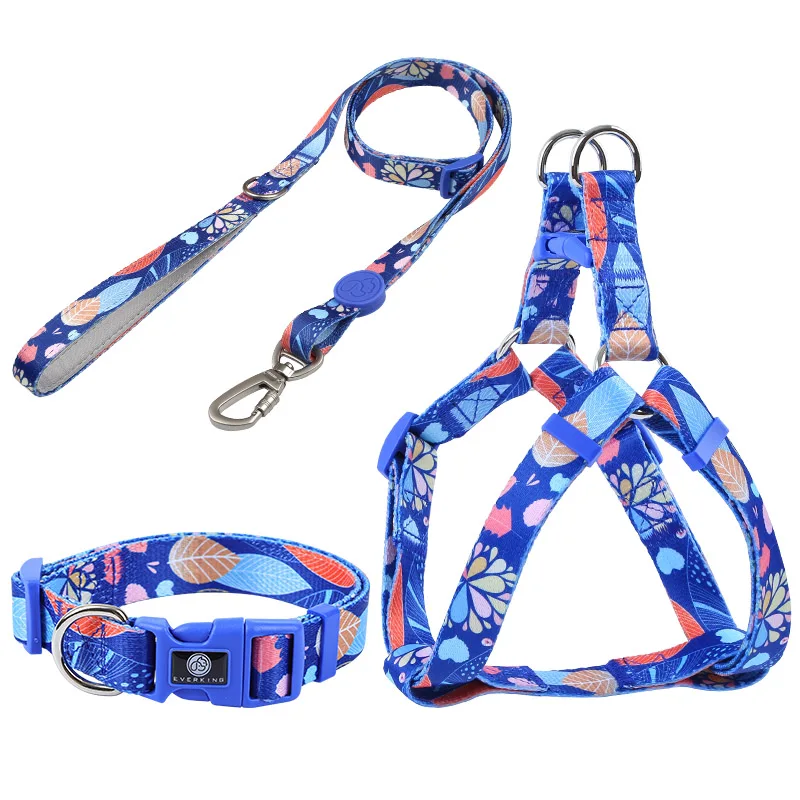 quick release metal buckle dog polyester unique pet leash set design personalize