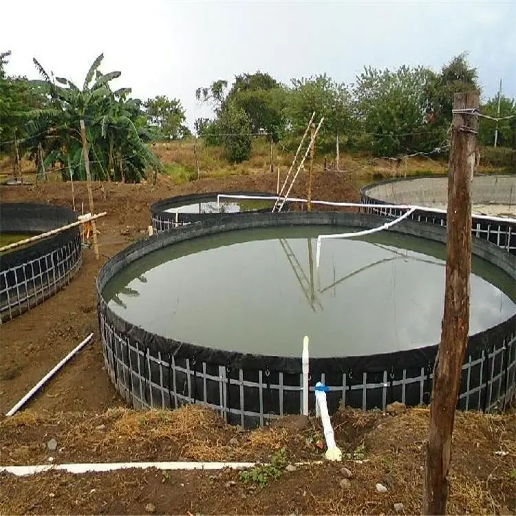 Пластиковая Тилапия складная рыболовная вода Biofloc Tank Geomembrane для аквакультуры