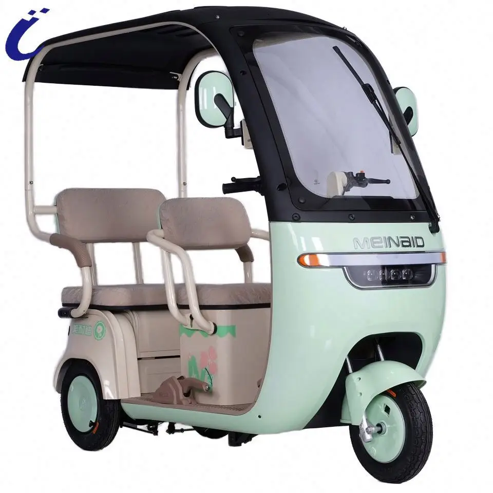 Luxury 3 Wheels Electric Tricycles Waterproof  Handle Electric Tricycle for Adult with roof