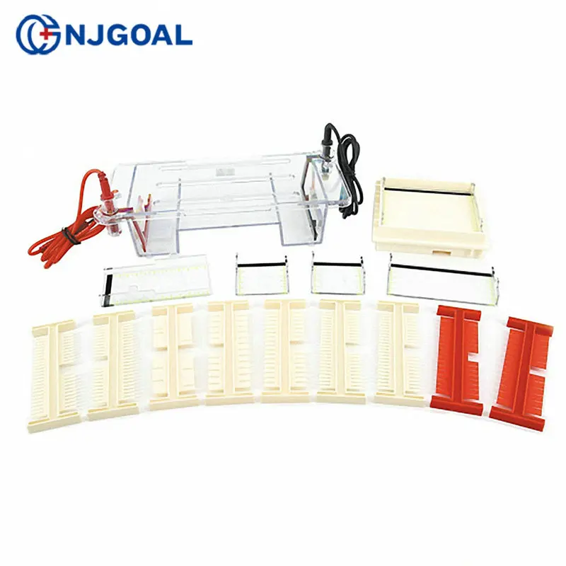 Пользовательский дисплей продукта высокая производительность горизонтальный агаред нуклеин кислоты электрофорез ячейки