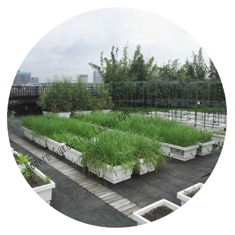 seeding tray nursery tray planting strawberry Soilless culture  vegetables planter pot