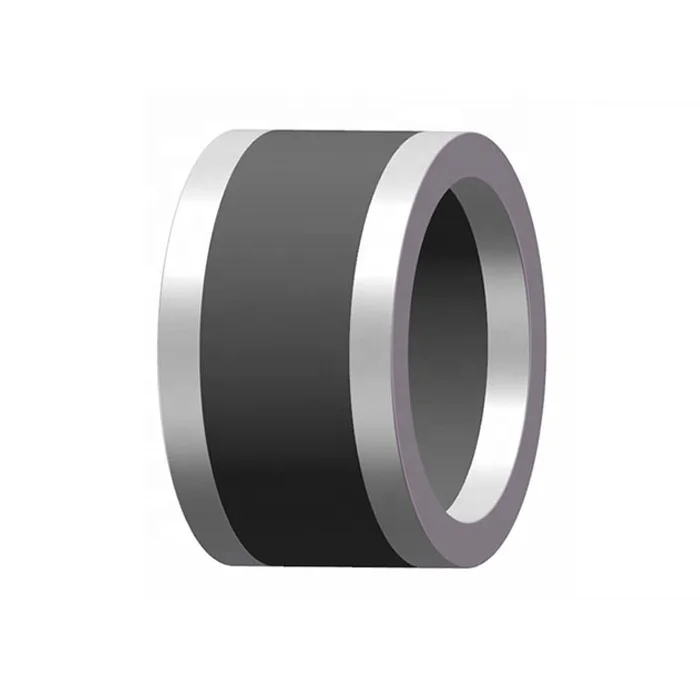 Tie Down and Lock-down Screw Packing Seal for Casing Head