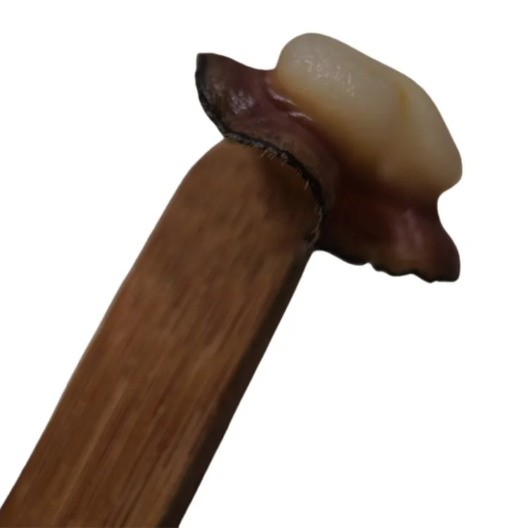 Ломтики премиум-класса экстракт необработанных животных шелушащие Рога лося оптовая продажа с фабрики