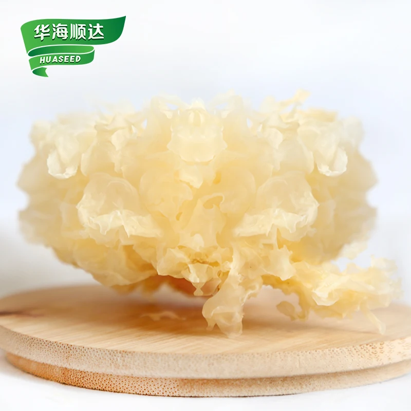 Chinese dried snow fungus high quality dried tremella fuciformis mushroom