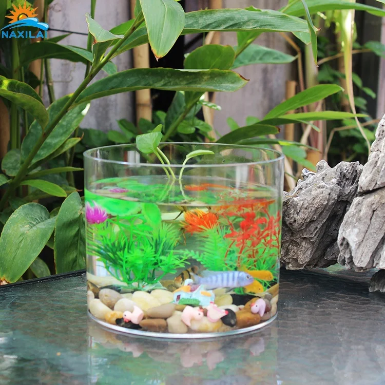 NAXIALI Acrylic Tank Mini Aquariums Acrylic New Design Aquarium Live Goldfish Aquarium Fish