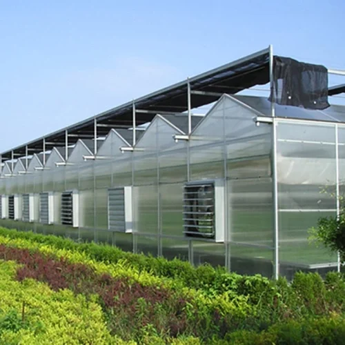 Greenhouses for medical/mushroom agriculture, equipped with shading systems for agriculture, manufactured in China