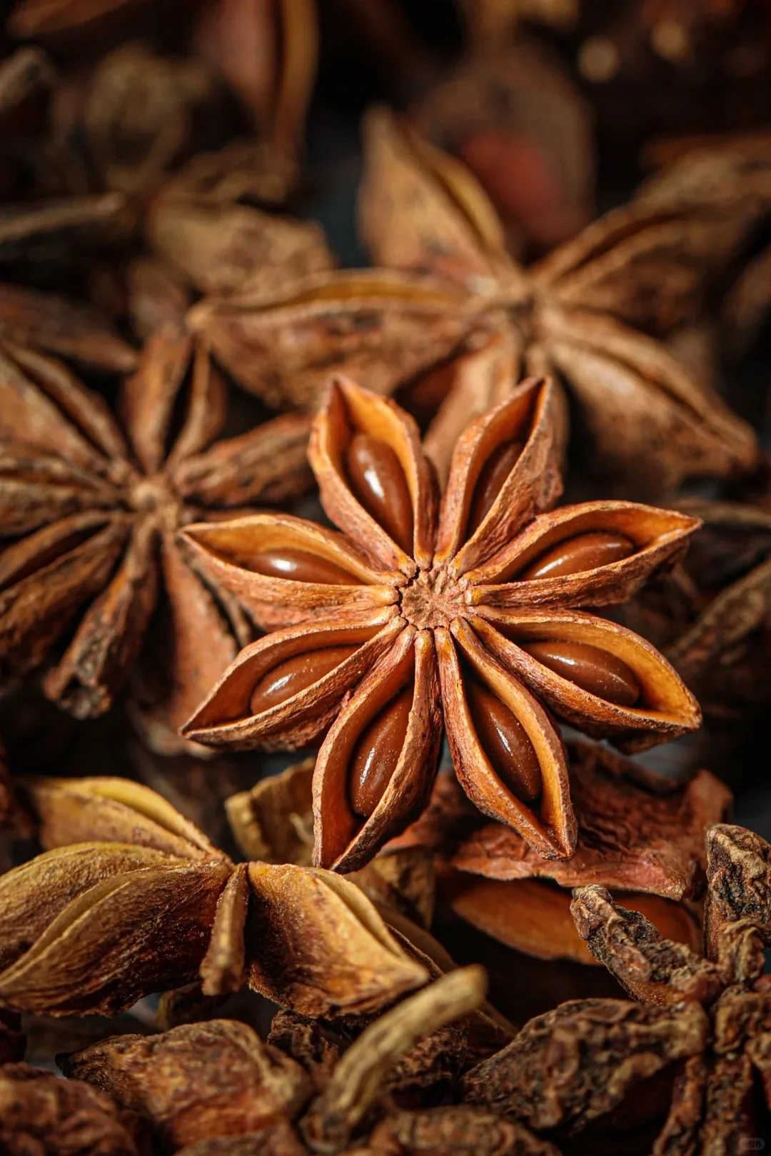 Wholesale 100% Natural Dried Whole Star Anise Hot Spicy Herb Spice with Seed and Stem Origin Direct Sales