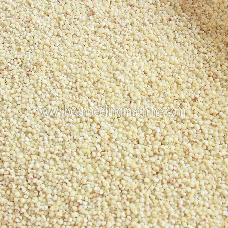 China made Corn peeling machine/barley peeling machine/Black eye bean dehuller
