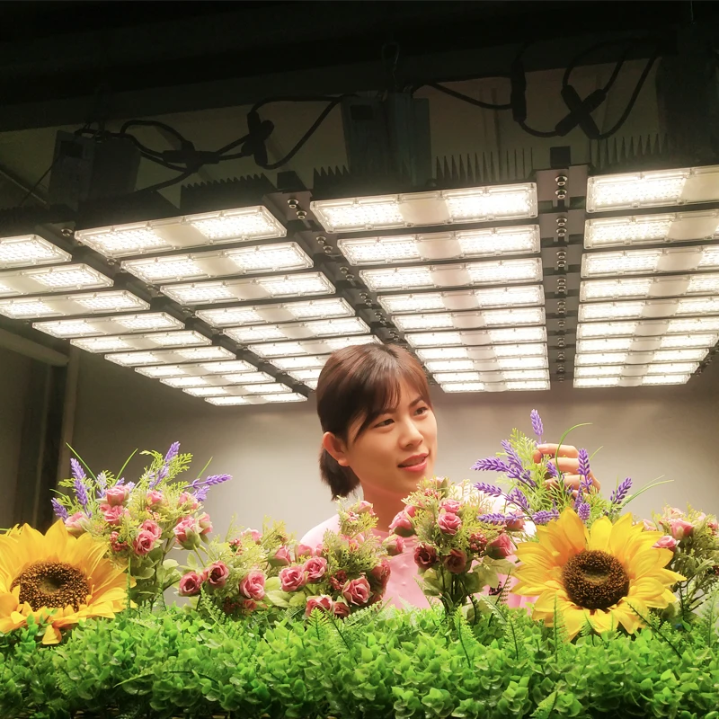 Online Retail High Quality High Power Waterproof Quantum 2000W Led Grow Light For Plant Growth