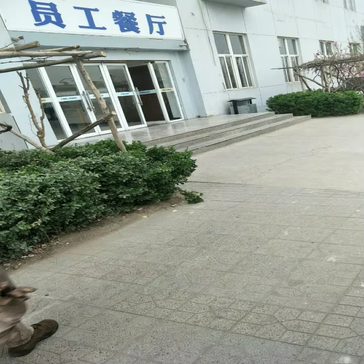 _20241011155458.png