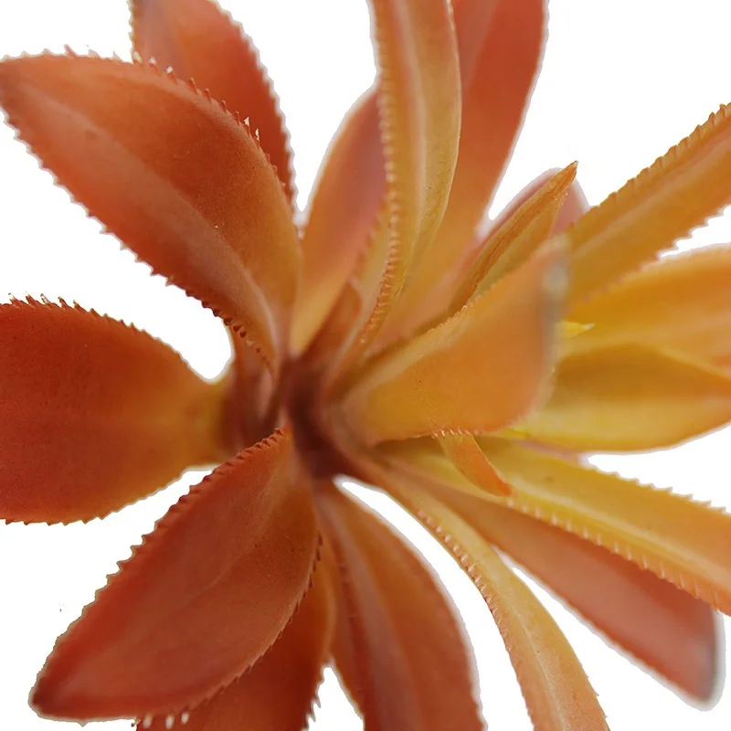 Green Artificial Plants Indoor Outdoor Plastic Succulent Plant For 2021