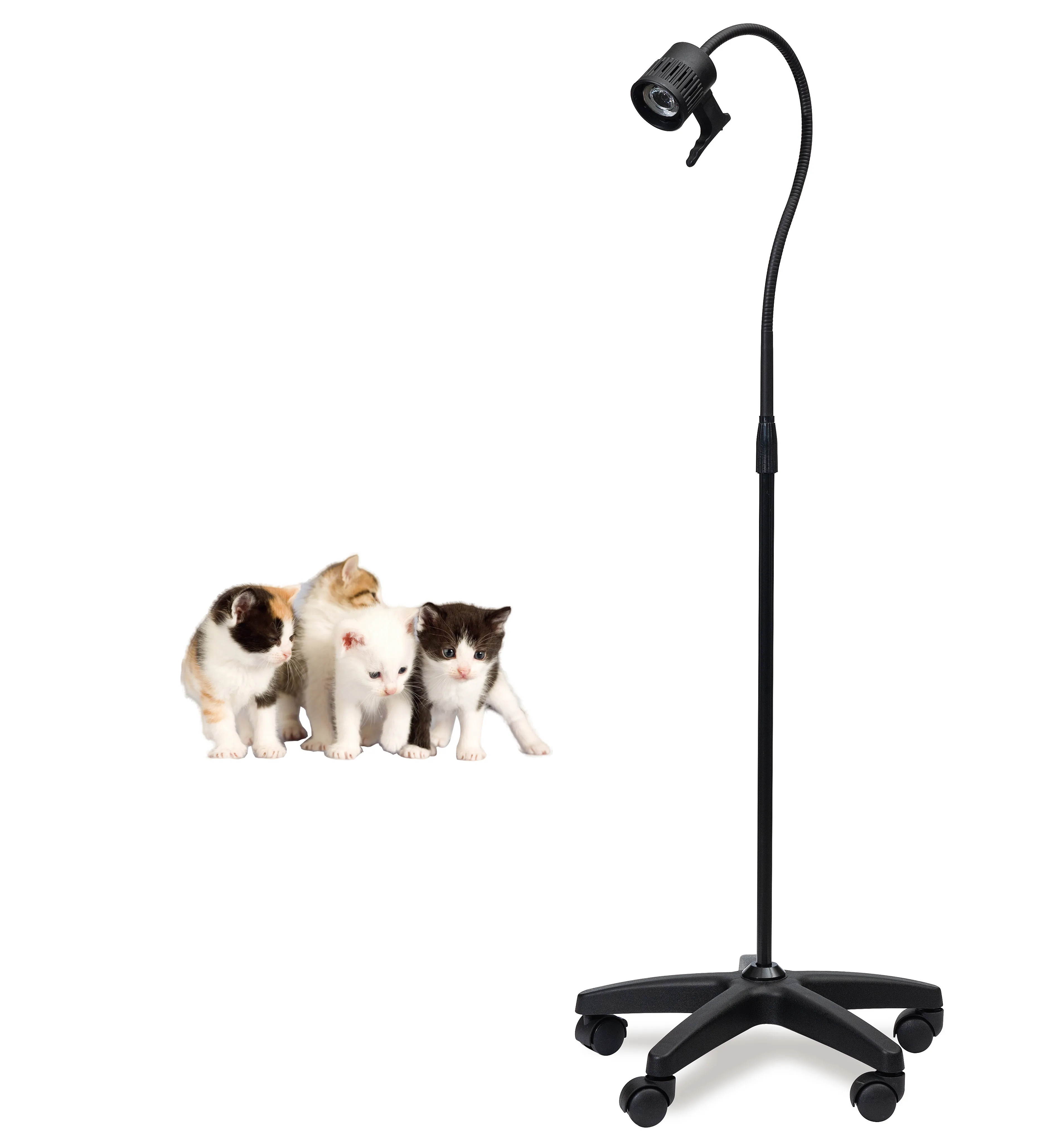 medical surgical lamp Professional ceiling dental oral operation surgery room led light or animal operating lamp