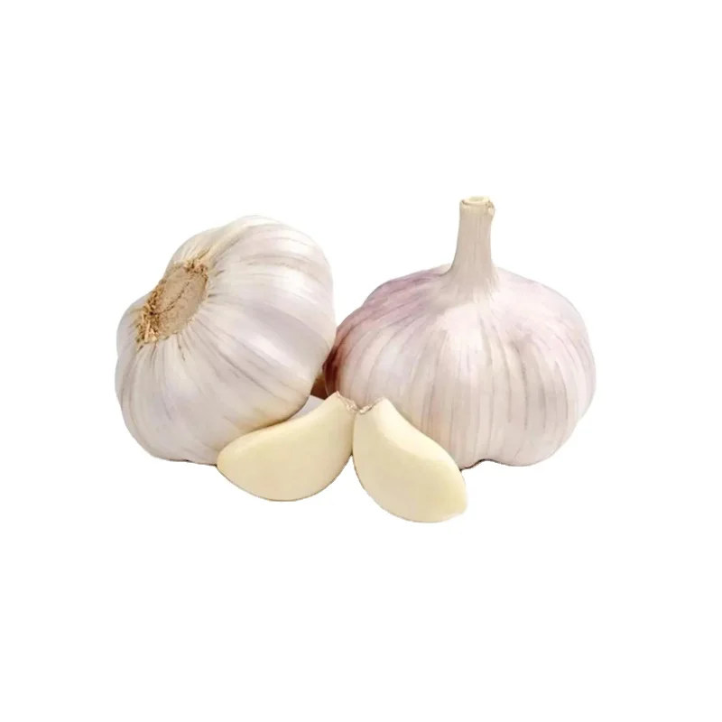 Cheap price of small bag chinese garlic today for Indonesia