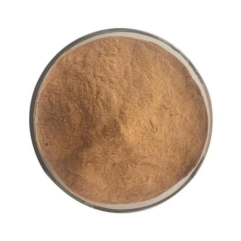 Factory Wholesale High Quality Dendrobium Extract