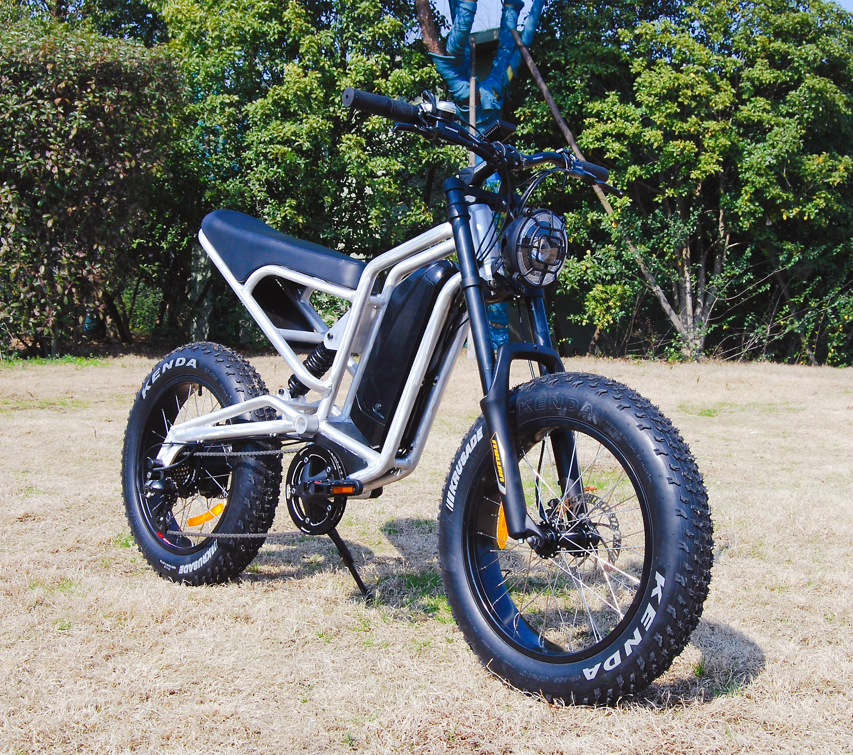 Factory Direct Sales Wholesale Price Fat Tire Stealth Bomber Electric Bike