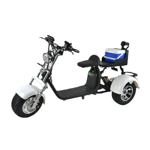 Model Electric Motorcycle with Big Power Lithium Battery Quality Citycoco Off Road Tire