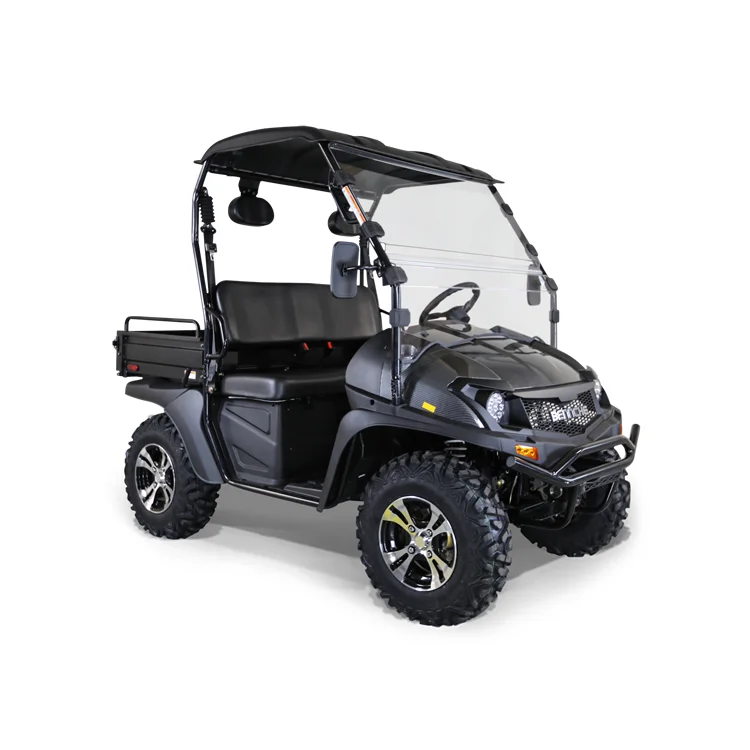 FarmBoss 200cc 4x2 dune buggy petrol utv