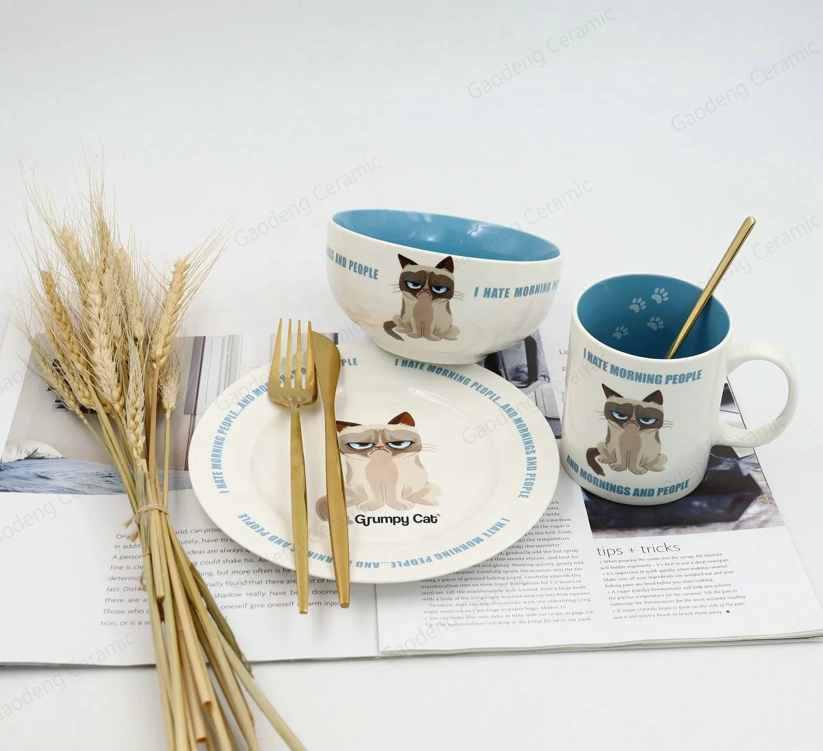 Cartoon cute cat fine ceramic tableware dinnerware household dishes set ins cute animal dinnerware set