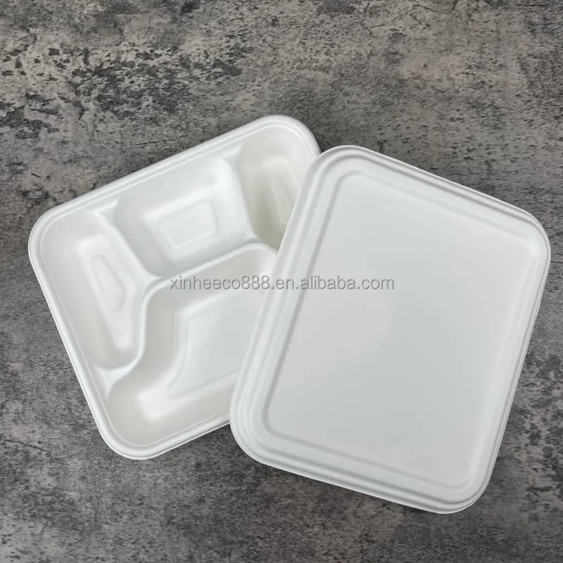 Best Price Eco Quality Sugarcane Bagasse 5 Compartment Compostable Tray Custom Safe Use-for Party Wedding Dinnerware Food Plate