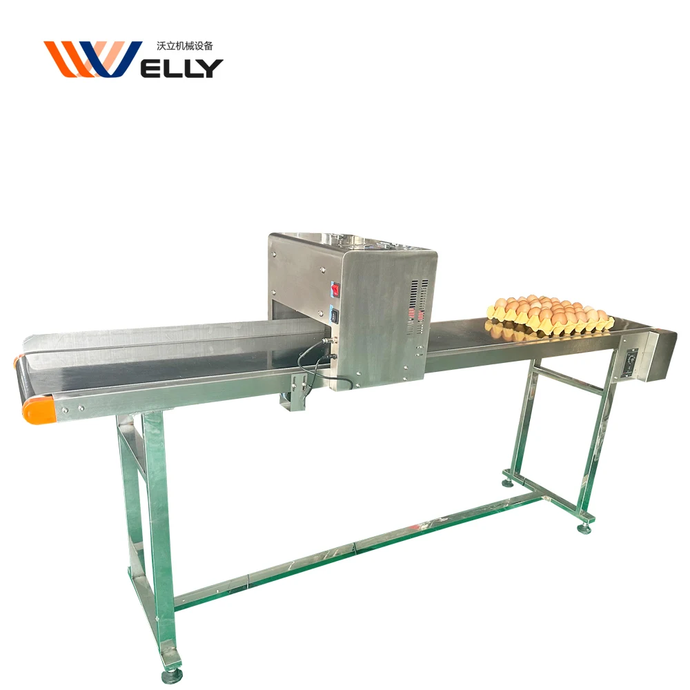 Китайский высококачественный струйный принтер для перепелиных яиц печатная машина с датой истечения срока годности утиных