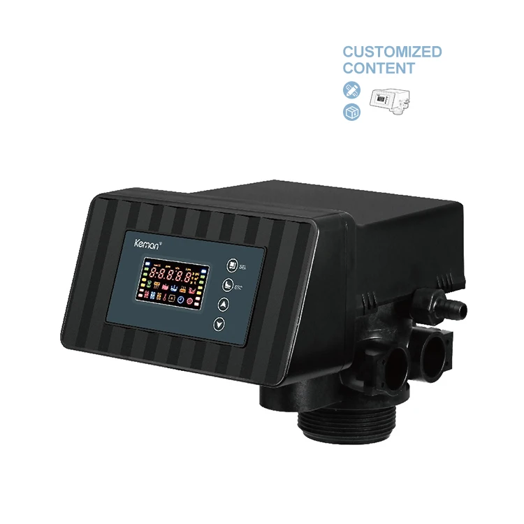 [ASB2-C] Water Treatment System 2m3/h Automatic Time Meter Runxin Double Tank Softener Control Valve