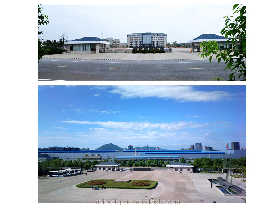 Chipsun Integrated Circuit AUDIO SIGNAL PROCESSOR 64QFN IC ZL38040LDG1