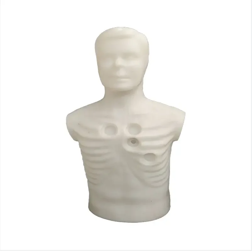Rotomolding plastic male mannequin upper body medical