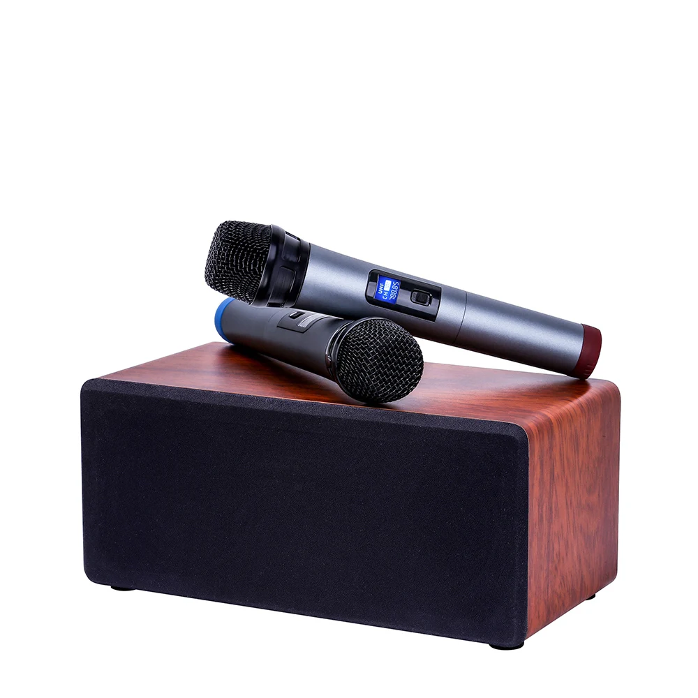 2 In1 microphones Outdoor Portable Family Ktv Stereo Dual Speaker With 2 Wireless Mic Big Sound Audio Karaoke Speaker