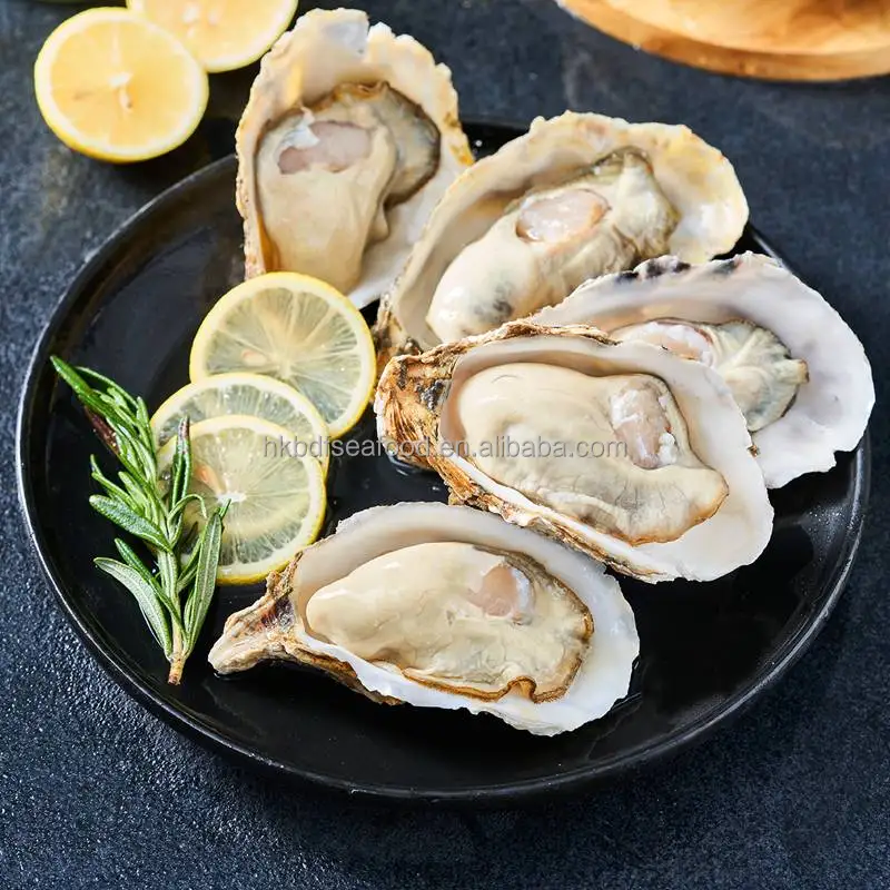 Frozen Freshwater High Quality Frozen Half Shell Pacific oyster