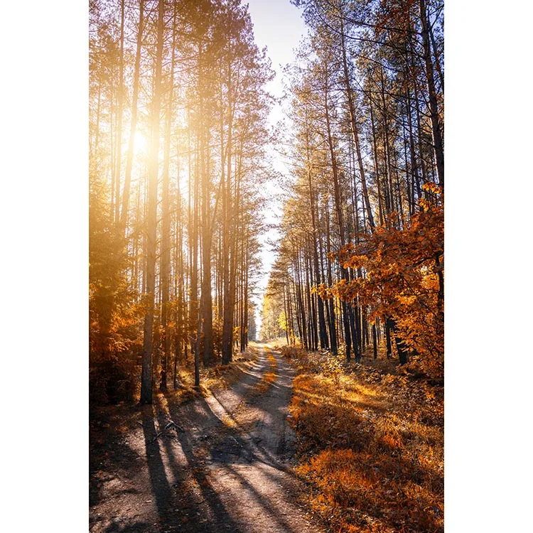 Hot selling custom design 5d diamond painting kit diamond art painting