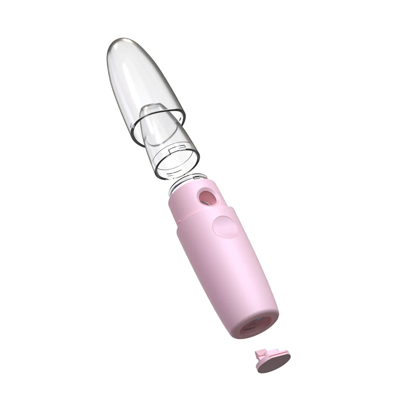 Usb Rechargeable Daily Skin Moisturizing Mini Portable Mister Nano Facial Mist Sprayer
