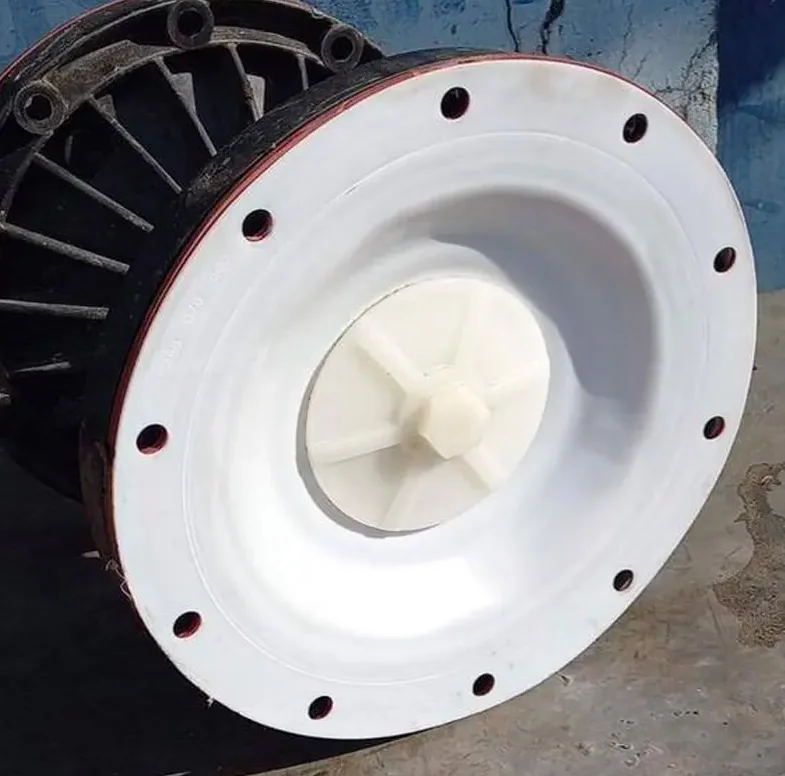 Factory High Quality Pump Spare Parts PTFE Diaphragm for Skylink Air Operated Pump
