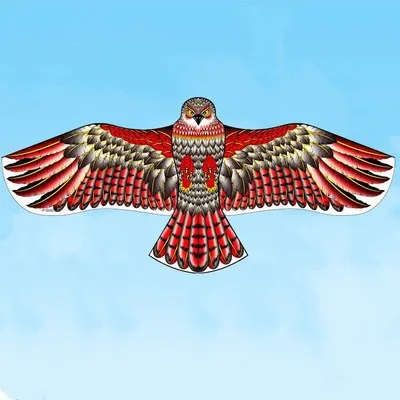  1.2 Flat Eagle Kite Children Flying Bird Kites Windsock Outdoor Toys Garden Cloth For Kids Gift