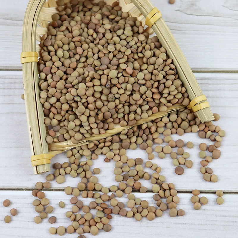 Лидер продаж mong chilka daal качественная Красная чечевица/зеленая чечевица/желтая чечевица поставщик из