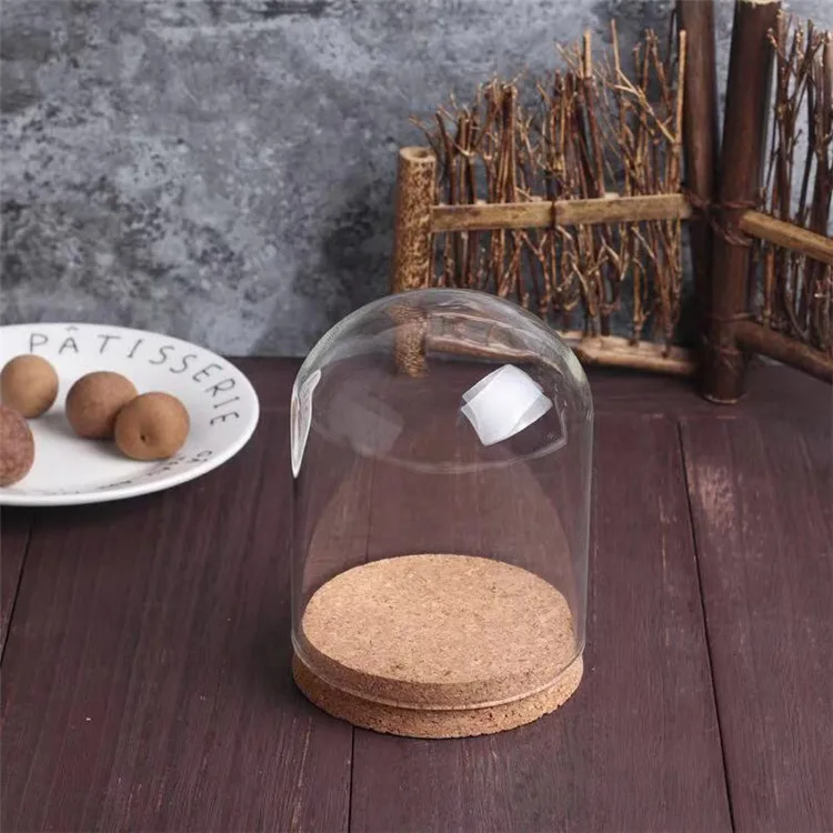 Custom Mini Terrarium Glass Dome with Wooden Cork Base for Hdisplay Decoration