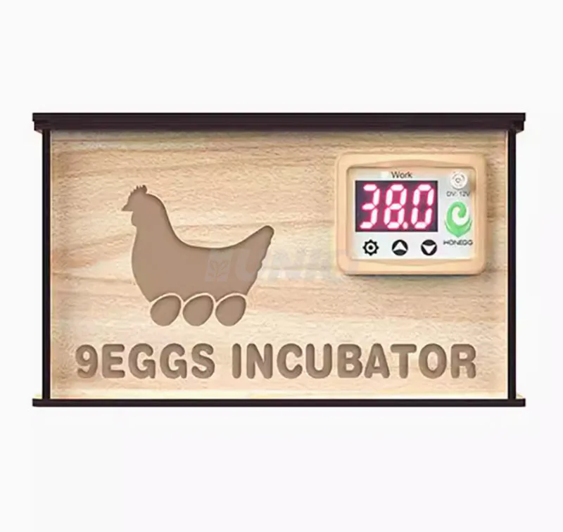 Wholesale Constant Temperature Electric Heating Dual Power 9 Eggs Incubator Spare Parts