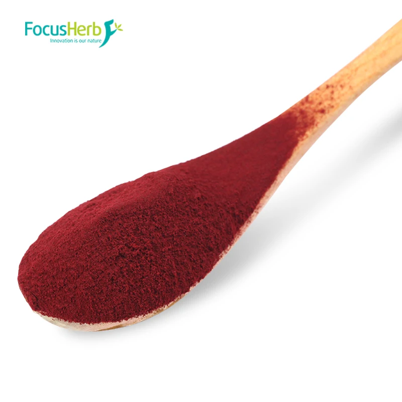 
FocusHerb Anthocyanidins 25% Elderberry Extract Powder 