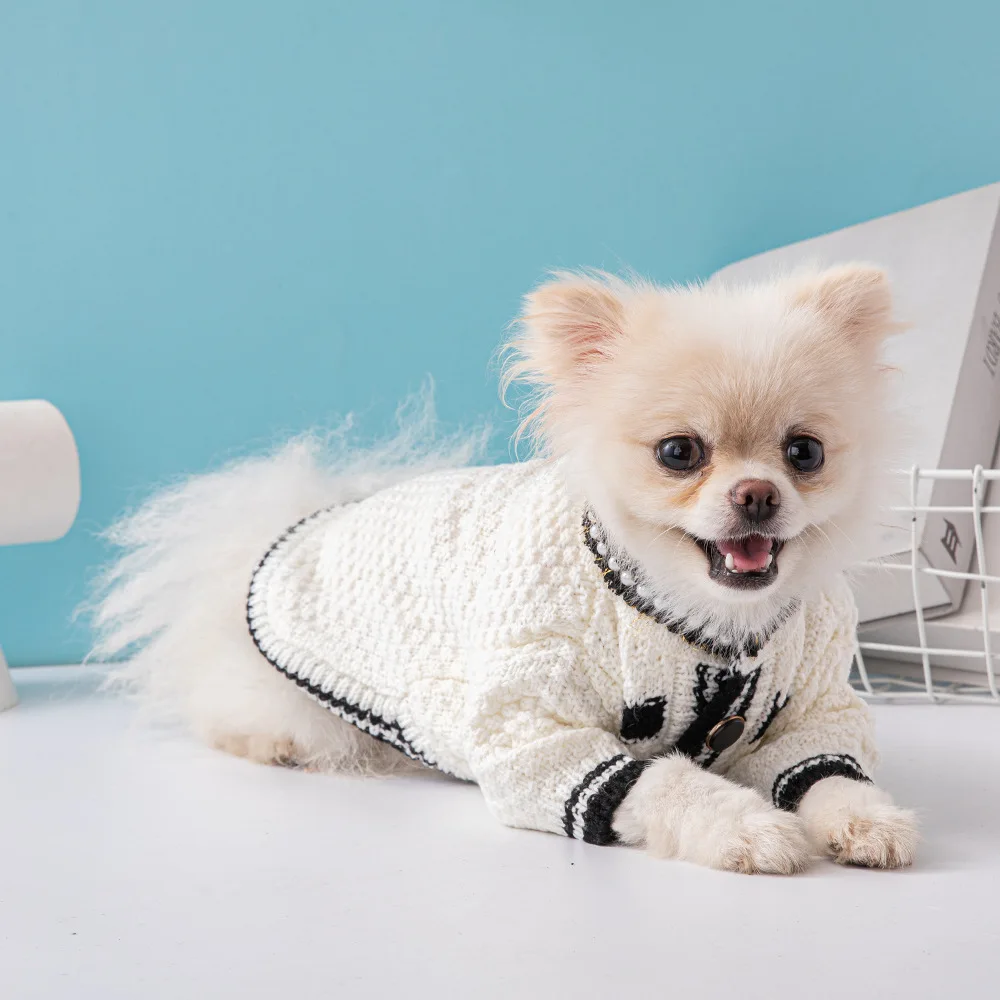 Hot Selling Fashion Style Pet Sweater XS Small Puppy Teddy Large Dog Winter Clothes Pet Clothes Designer High Luxury Dog Clothes