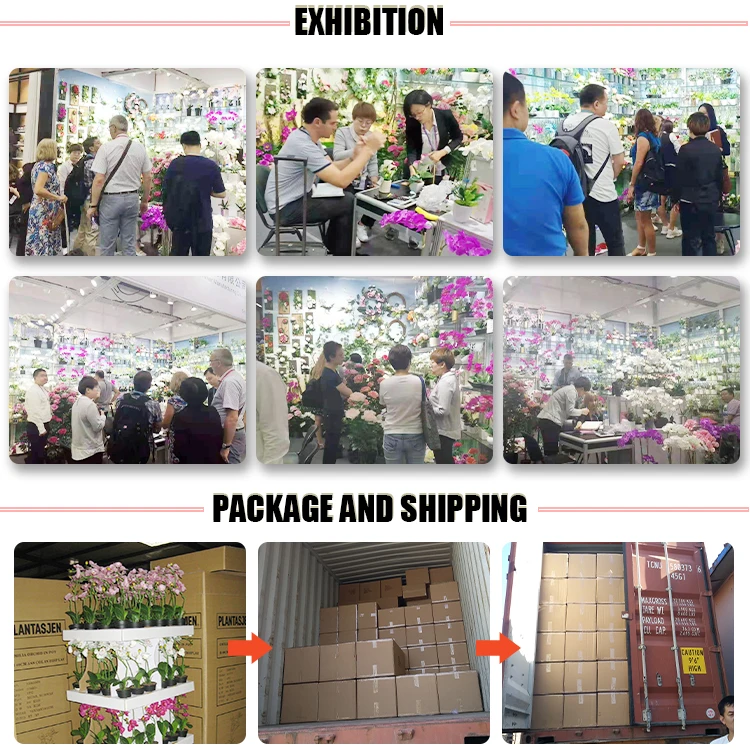 China Supplier ceramic artificial plant pot succulent wholesale artificial plants