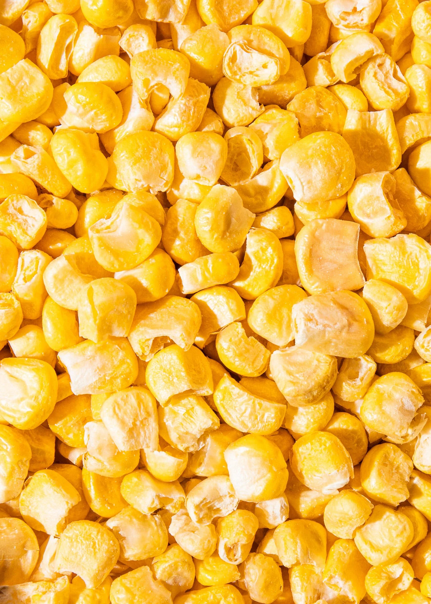 China Wholesaler Good Price Natural Freeze Dried Sweet Corn