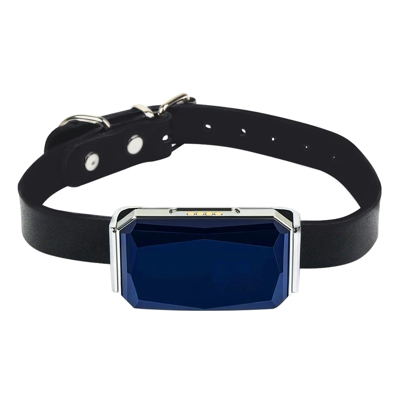 Eview G12 Hountdog Real Time Outdoor Tracking Google Map Historical Route Pet Tracer Gps Pet Gps Dog Cat