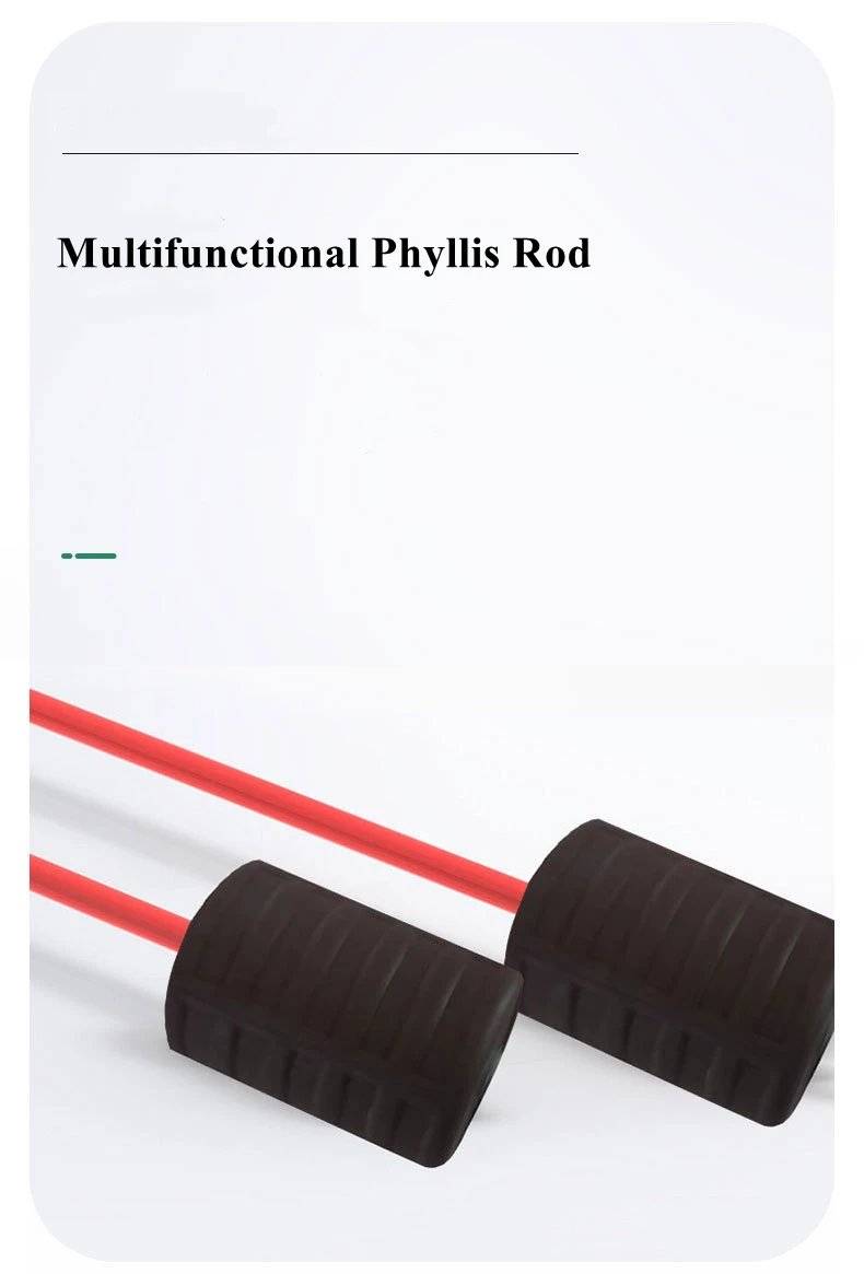 Training Exercise Elastic swing body Vibrating theraband Rod Phyllis Tremble Yoga Gym Fitness pilates Stick rod Flexi Bar