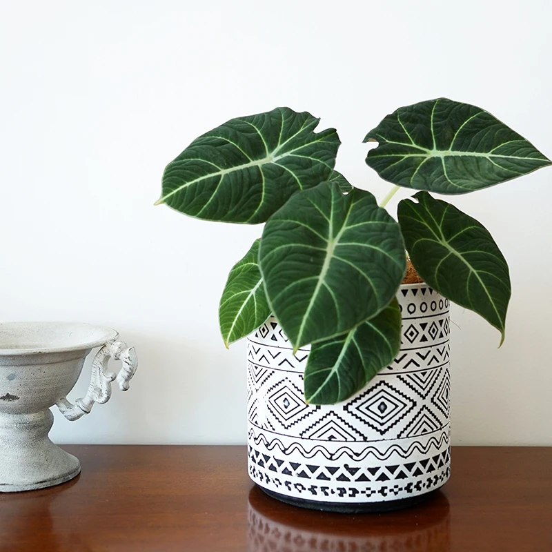 Bohemia retro geometric pattern balcony home decor cement plant potted gardening flowerpots ceramic succulent pots