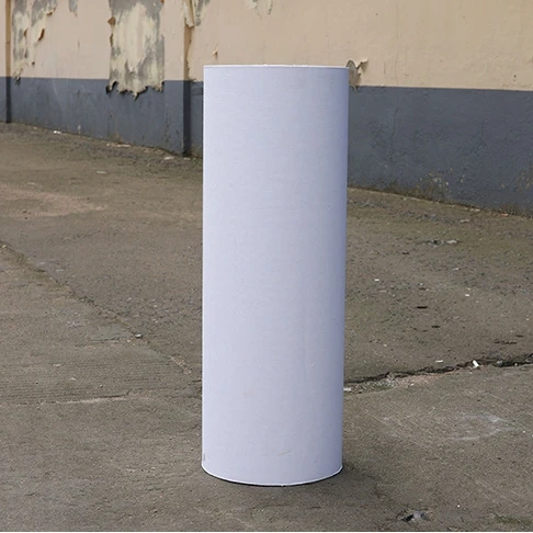 Canvas Canvas 1.52*50m 260gsm Matte Polyester Eco Solvent Canvas For Widely Format Printing