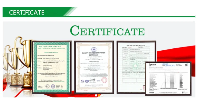 HTB1LrW9kcjI8KJjSspp760byVXaE