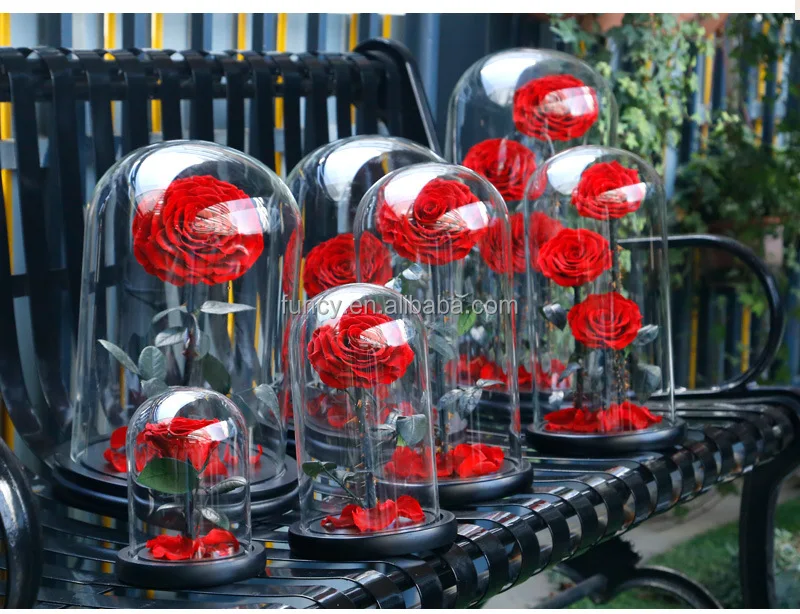 Factory Customized Wholesale Valentines Day Gifts Long Stem Glass Dome Belle Enchanted Preserved Forever Roses in Glass Dome