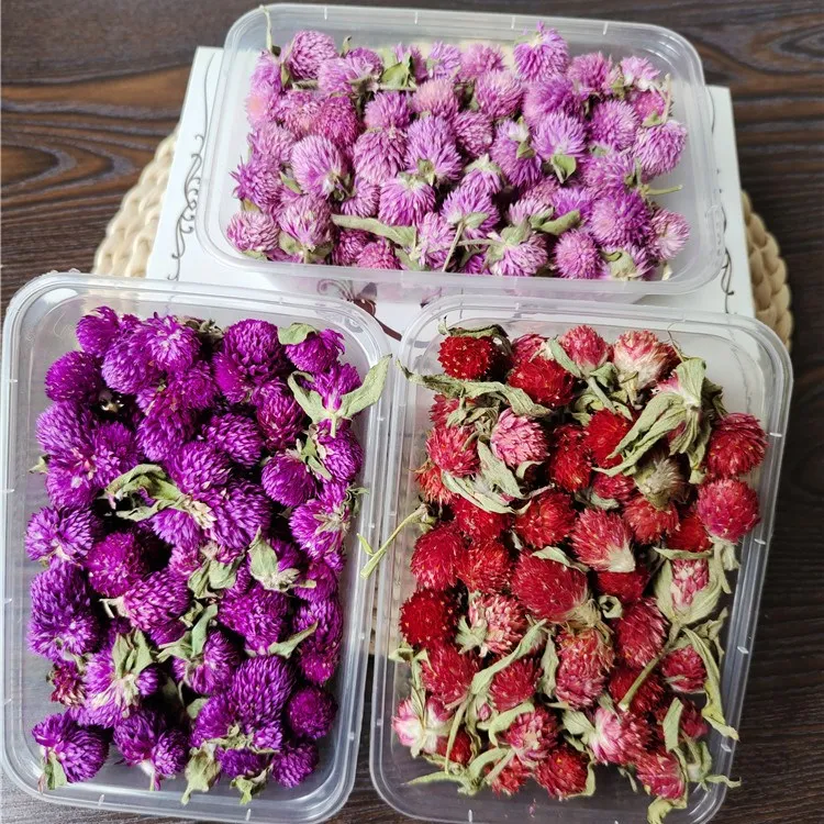 Dried flowers head Globe Amaranth   flower ring decoration handicraft decoration