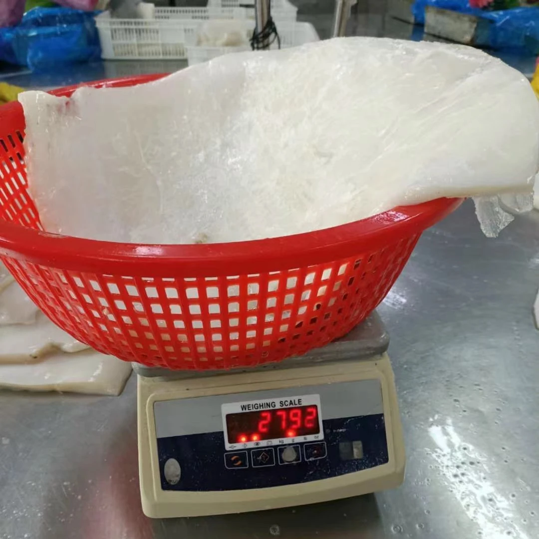Frozen Squid Fillet Skinless