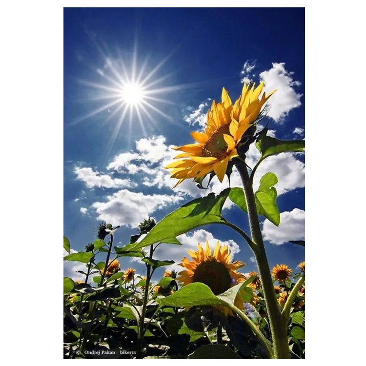 Wholesale hot DIY full drill home furnishing custom custom diamond painting sunflower 5D diamond painting
